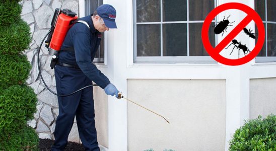 Ömerli Akrep İlaçlama böcek ilaçlama ve haşere kontrolü — ilaclama-tr.com